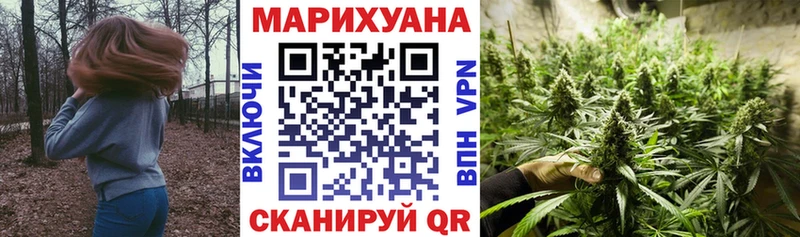 купить наркотики цена  Кудымкар  Канабис тримм 